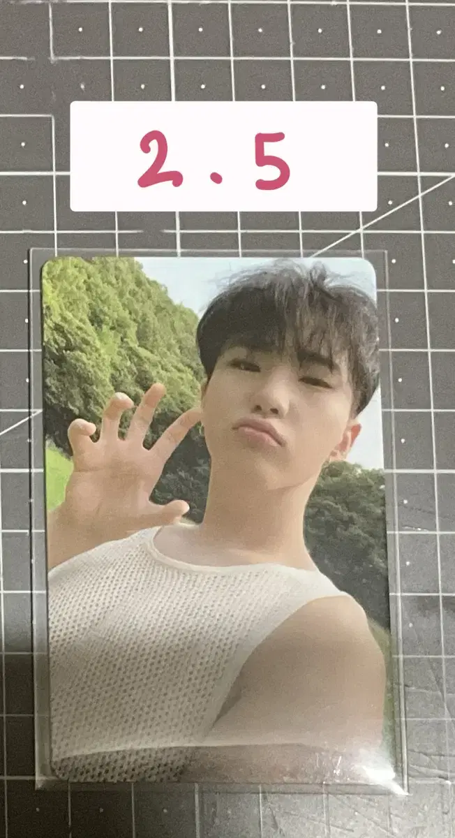 Seventeen Social Club hoshi photocard