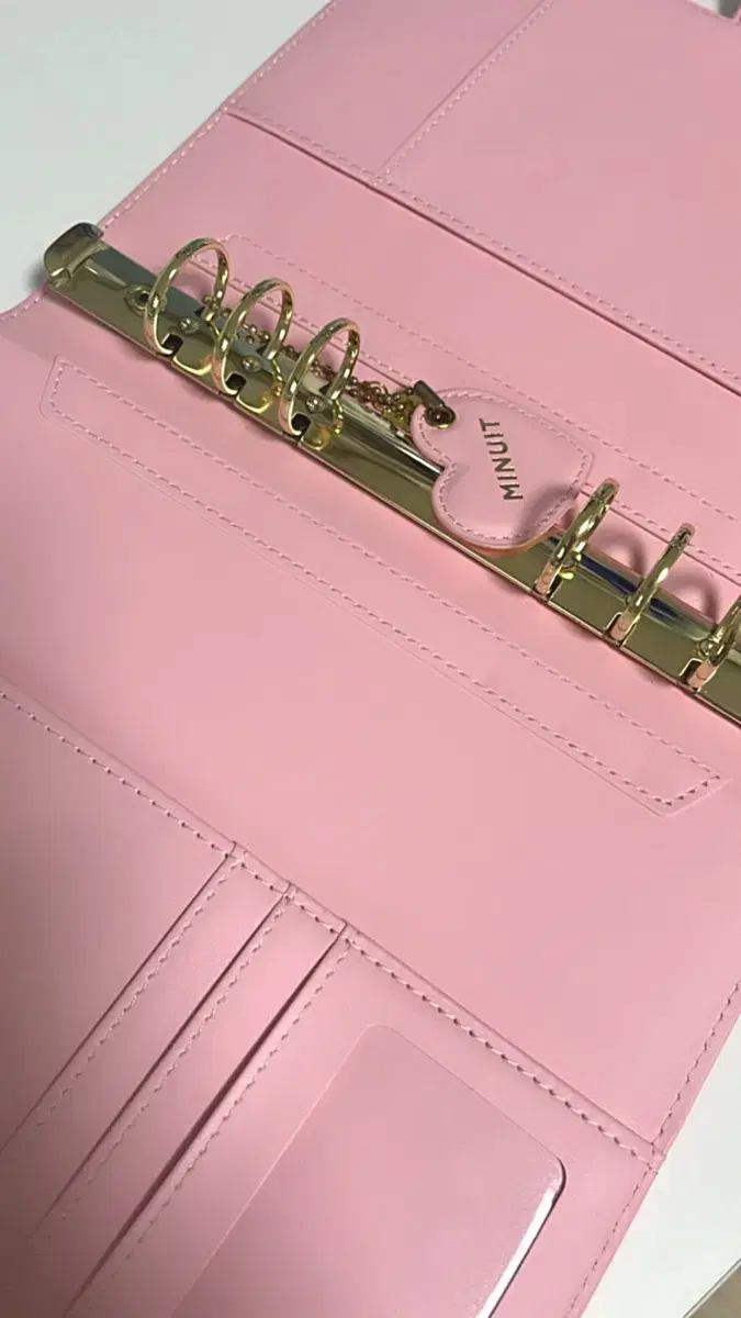 (Price Reduction)Mignonette Macarons binder wts Pink