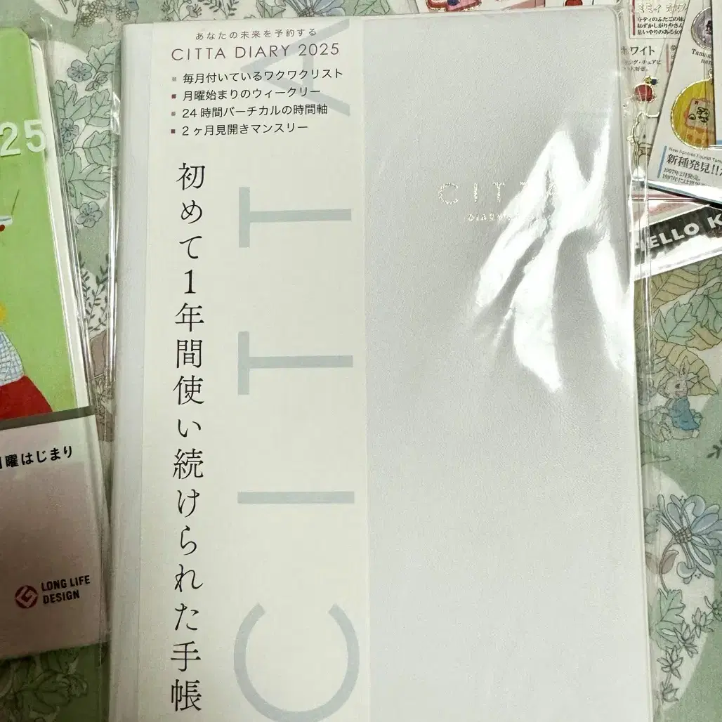 일본 CITTA Diary 2025 (24년10월 시작) white A5