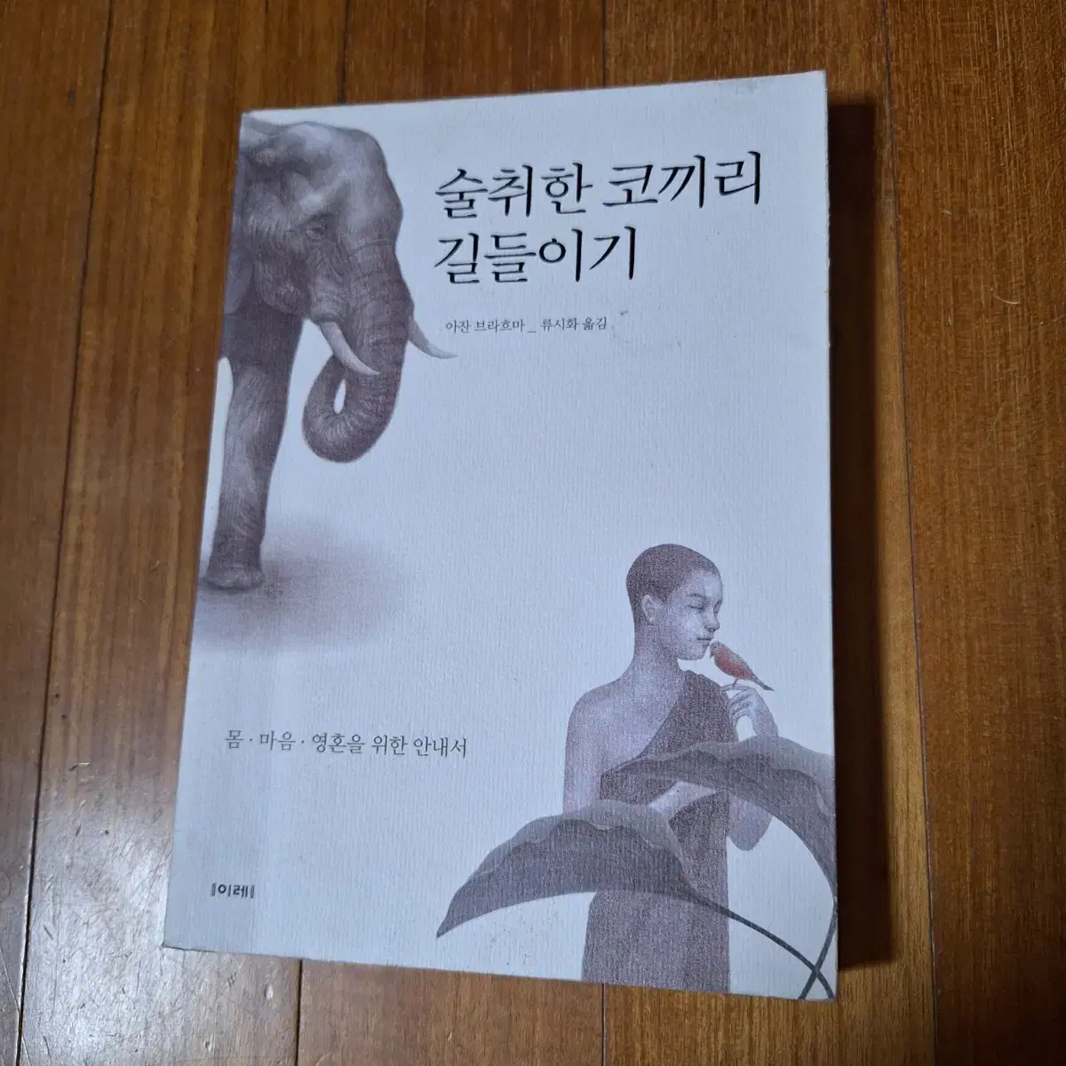 # 술 취한 코끼리 길들이기(아잔 브라흐마)