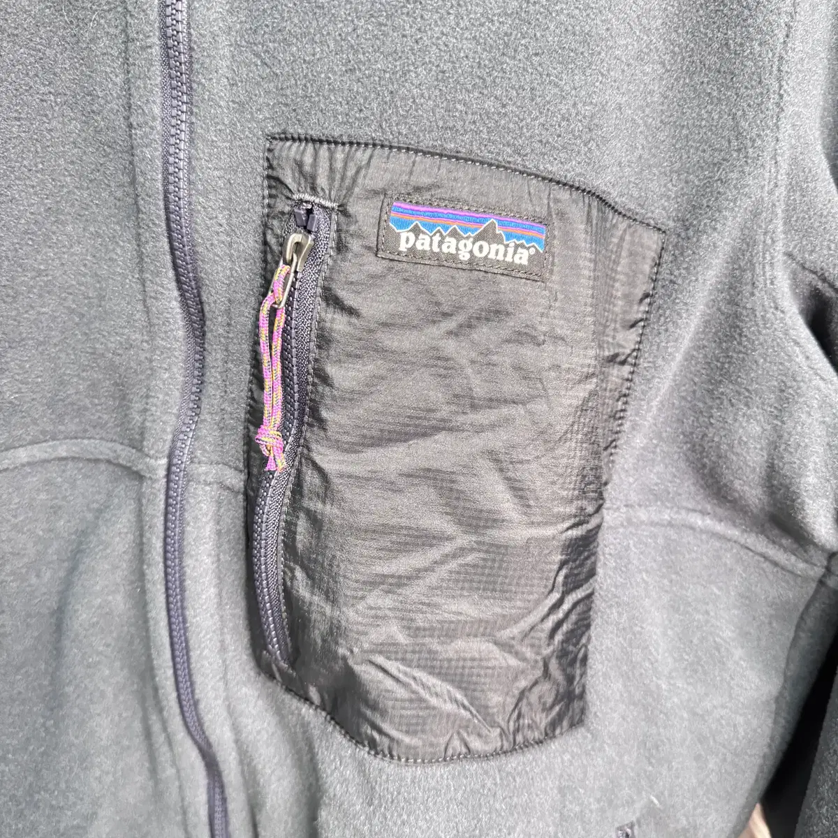 Patagonia Microdini Hoody 블랙.