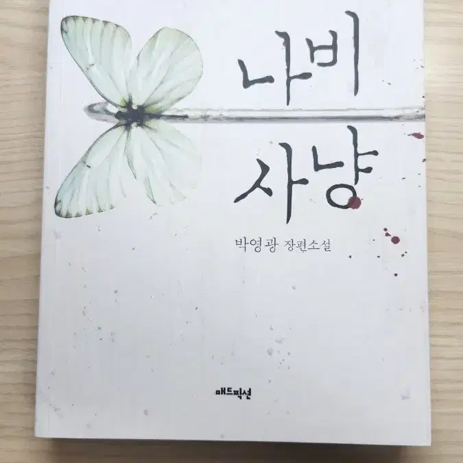 나비사냥