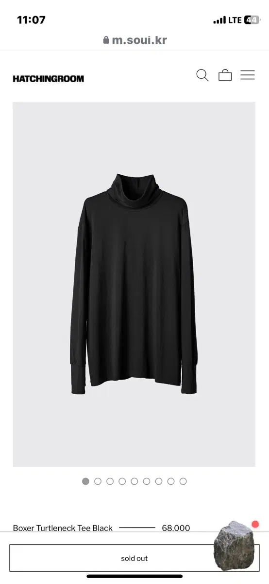 Hatchingroom bower turtleneck black