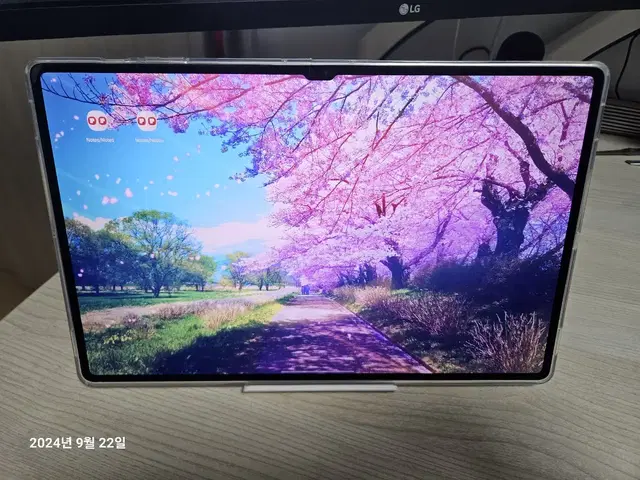 갤럭시탭 S9 울트라 5G 256GB 베이지 팝니다