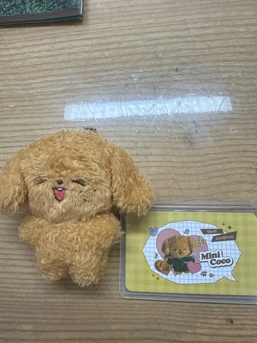 Haechan sells doll ~ (mini coco )