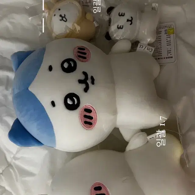 치이카와 하치와레 농담곰 퍼그