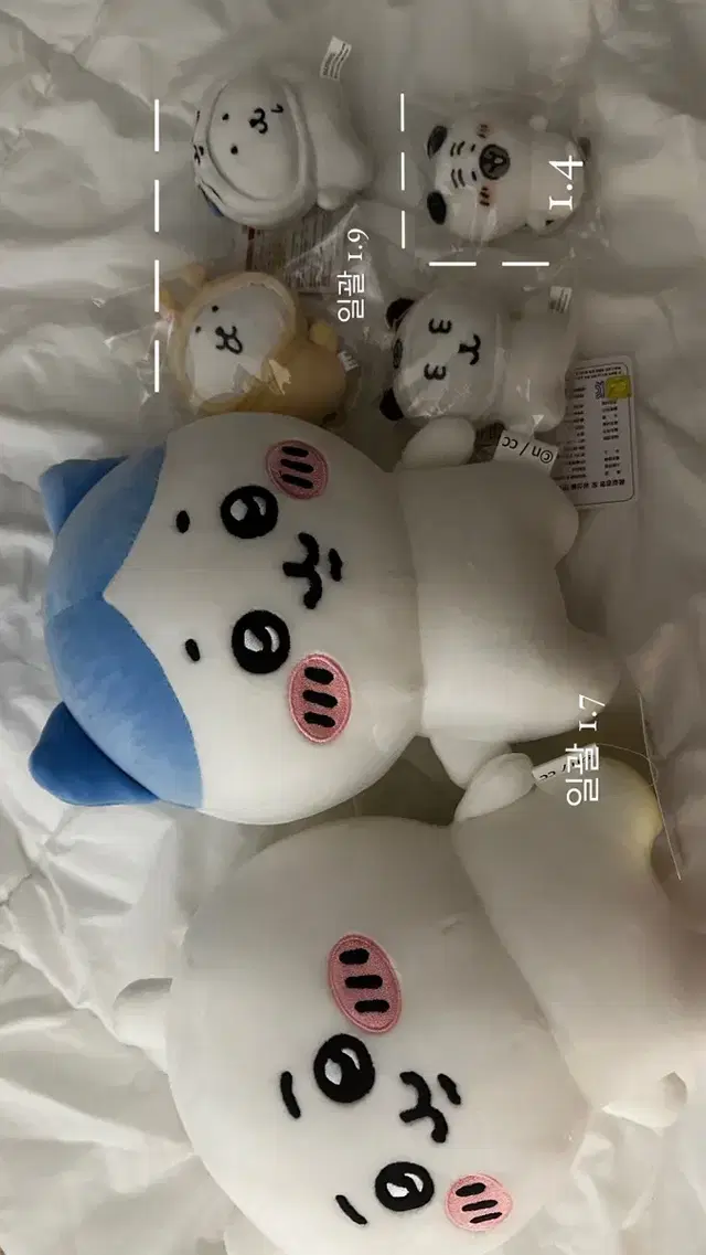 치이카와 하치와레 농담곰 퍼그