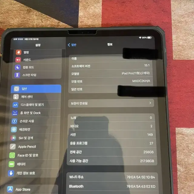 아이패드 프로 2세대 256GB 와이파이 모델 11인치 판매합니당 !