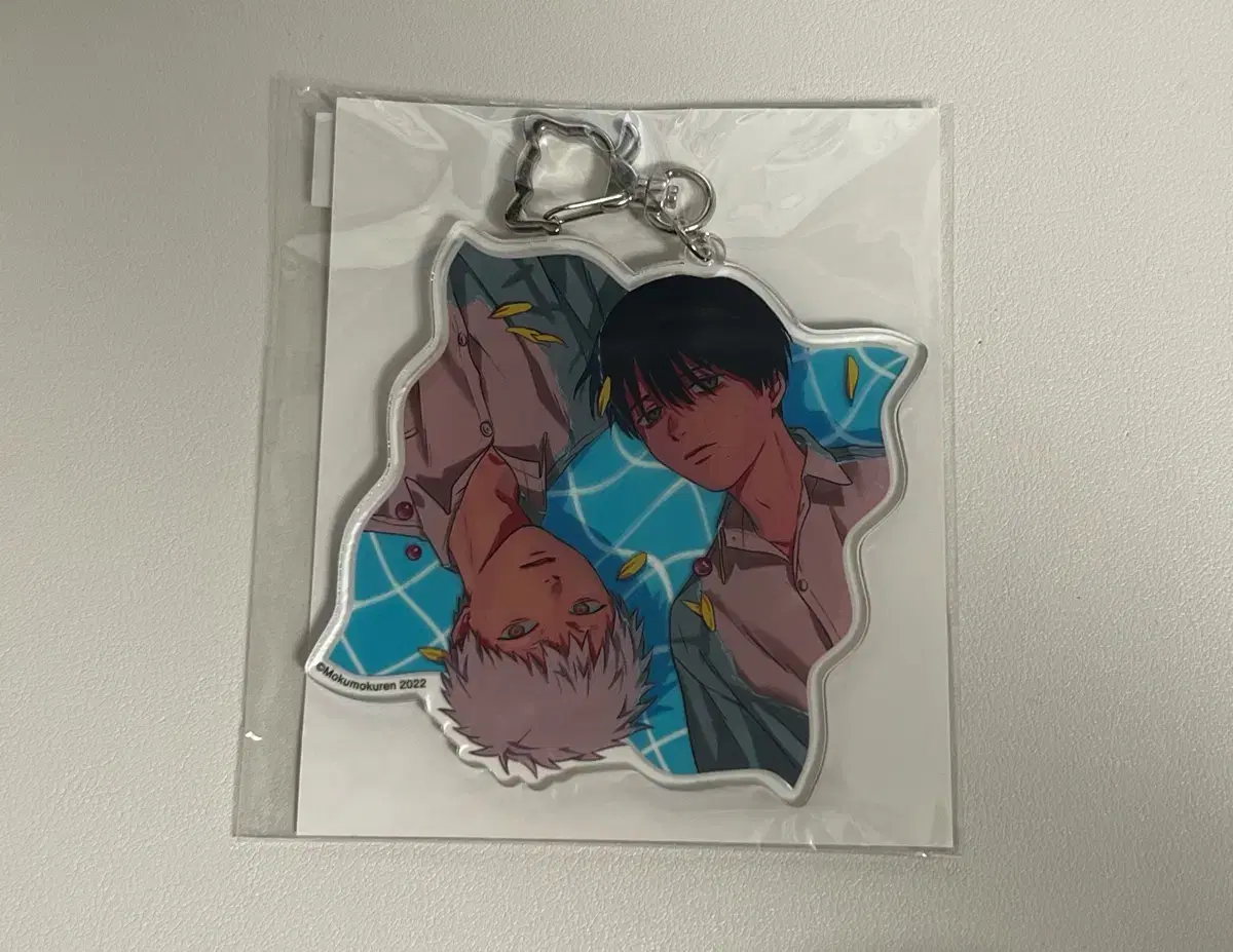 (unsealed) hikaru가죽은여름 히죽여 acrylic keyring