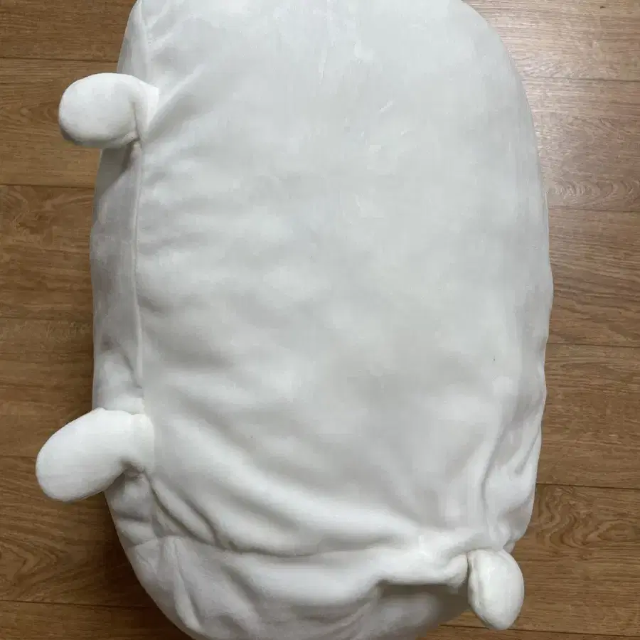 담곰이 농담곰 미간 농담곰 모찌 쿠션