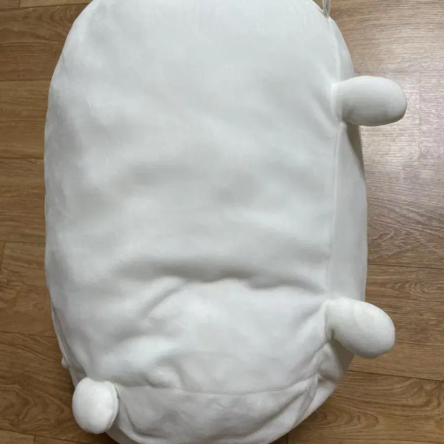 담곰이 농담곰 미간 농담곰 모찌 쿠션