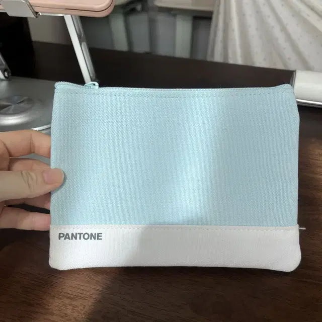 Pantone 팬톤 파우치