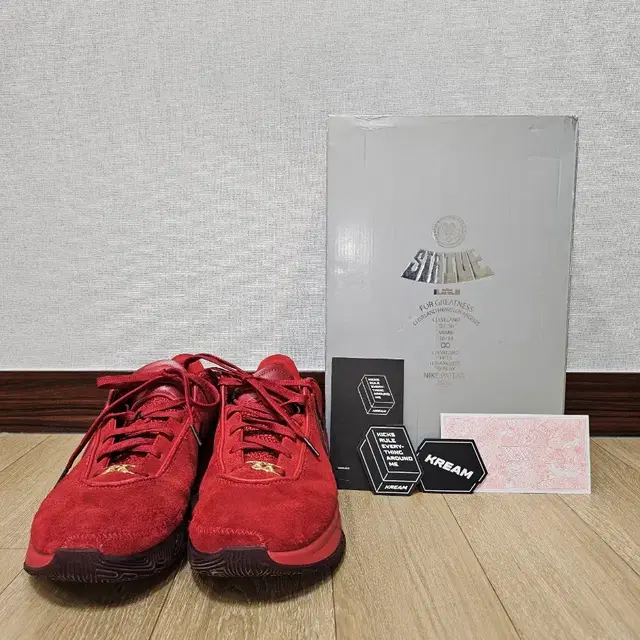 르브론20 EP Gym Red 280