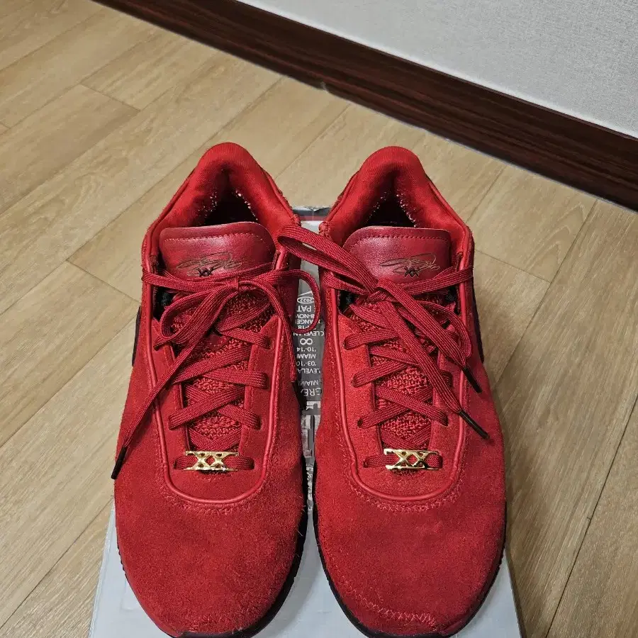 르브론20 EP Gym Red 280