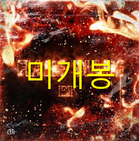 [미개봉] 이케이 (EK) - Flame Blame (CD)