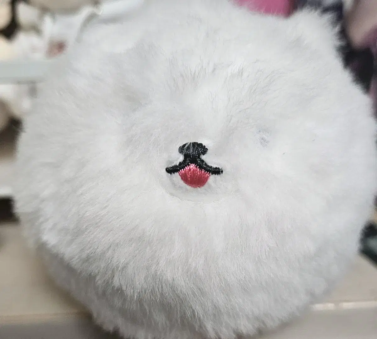 Tailed Pomeranian doll wts for sale