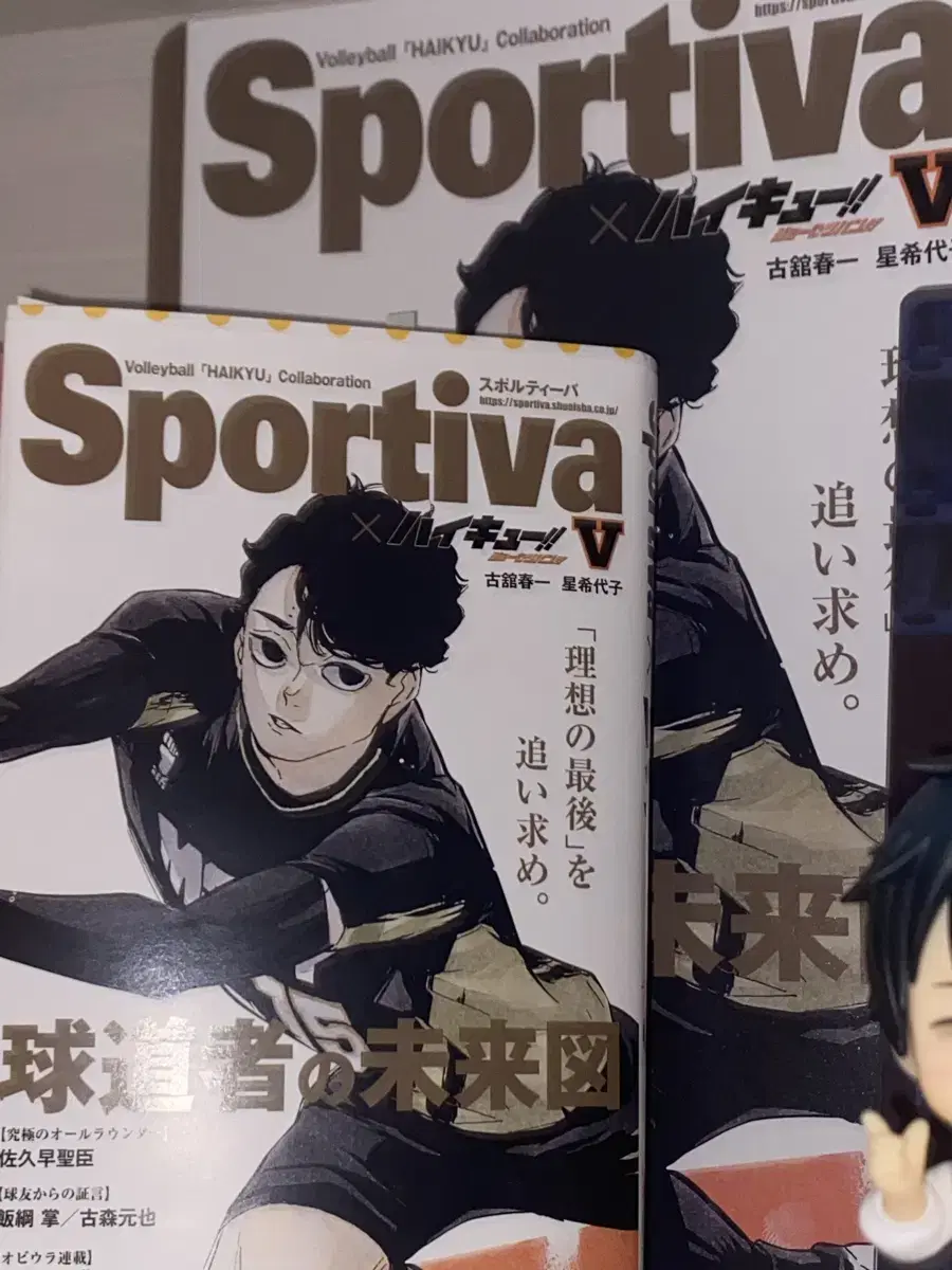 Haikyuu Sakusa Kiyomi Sportiva