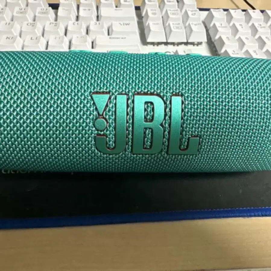 JBL 플립6