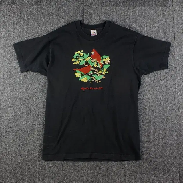 Fruit Of The Room VINTAGE T-Shirt