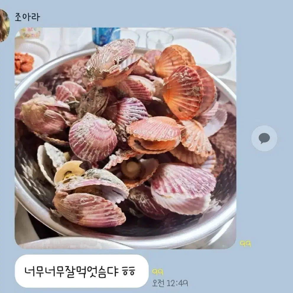 통영 홍가리비