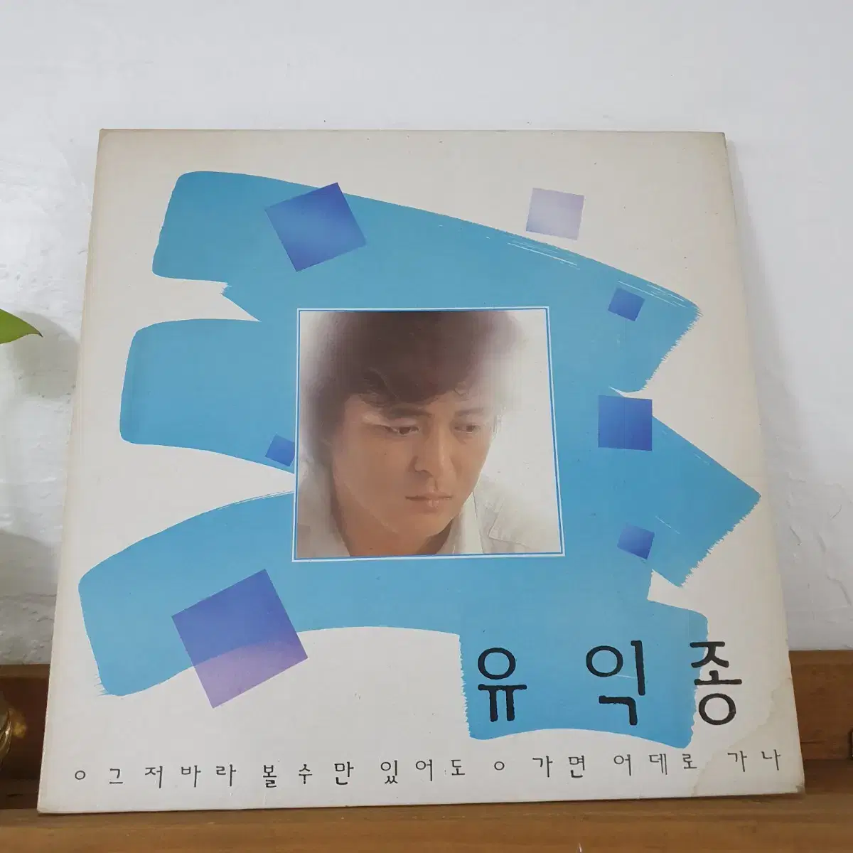 유익종 LP  1987  그저바라만볼수있어도