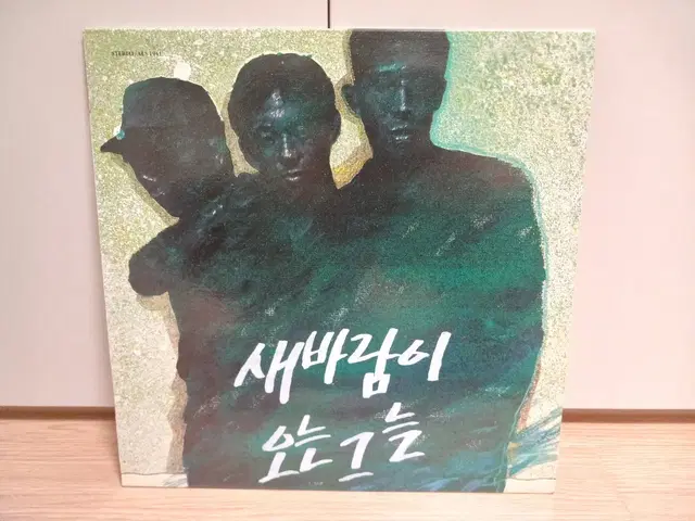 새바람이 오는 그늘 LP