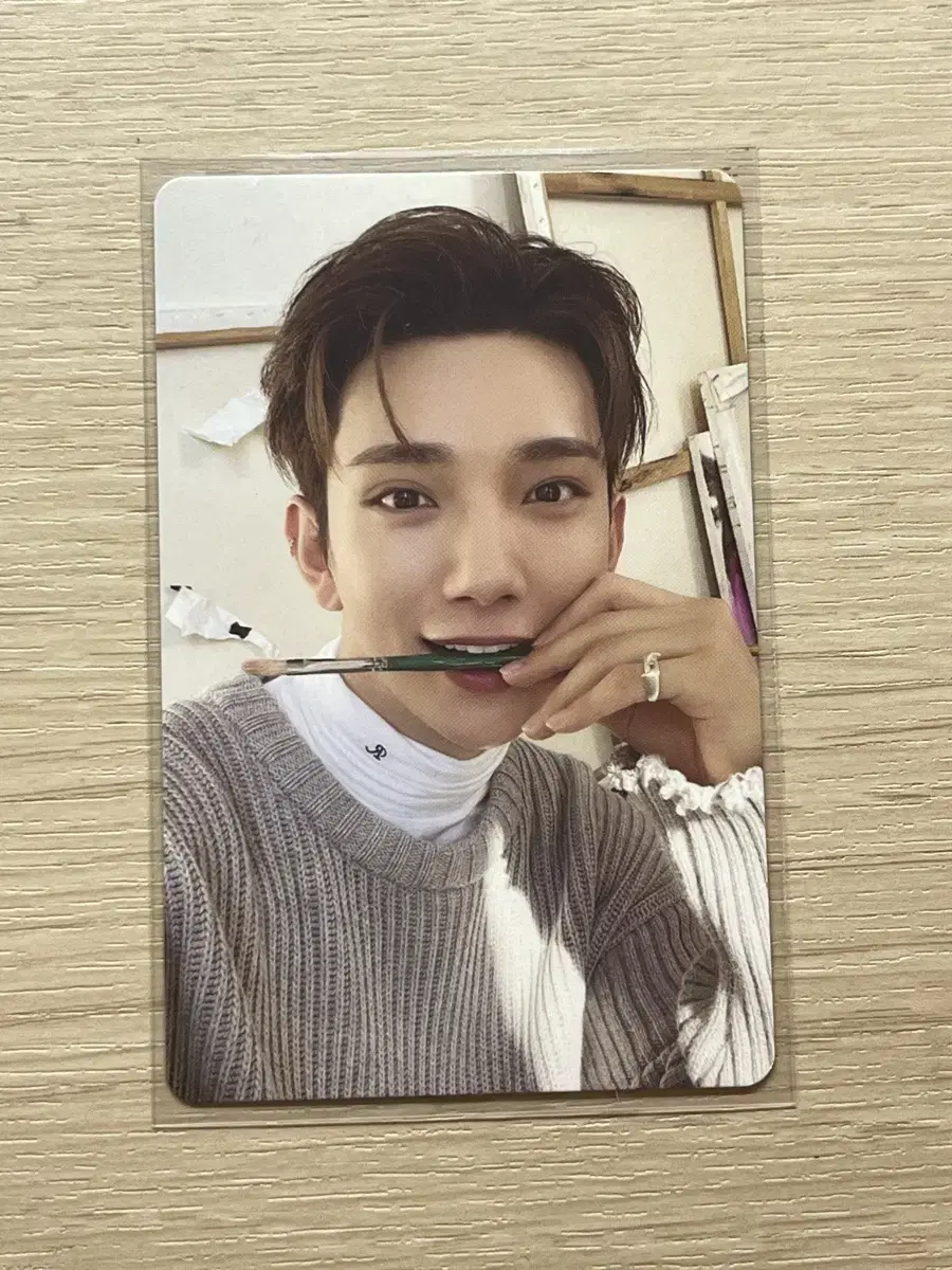 Seventeen 2024 Seasons Greetings joshua photocard