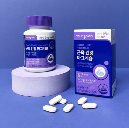 영진약품 영플랜 근육건강 마그네슘 950mg*90정 x3BOX