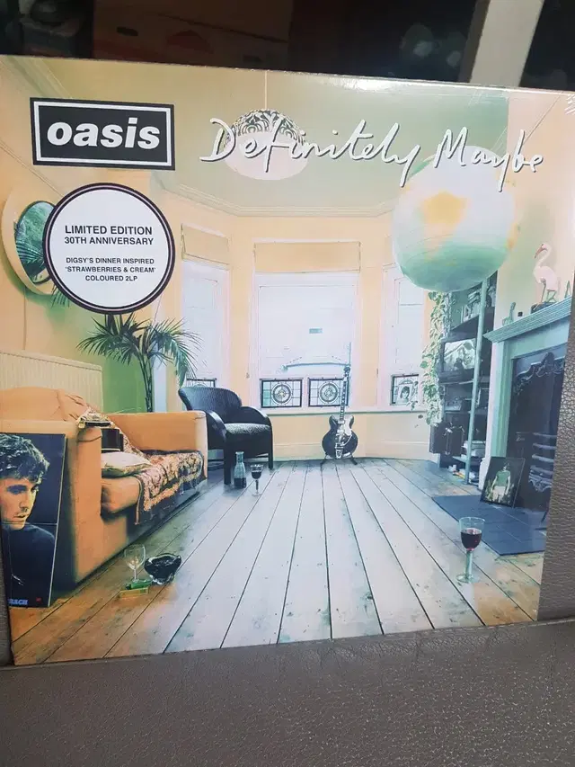 oasis definitely maybe 30주년  리미티드에디션 LP