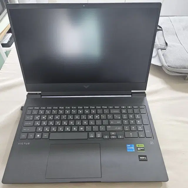 빅터스 노트북 인텔 i5 13500HX, RTX4060, 32gb, 1.