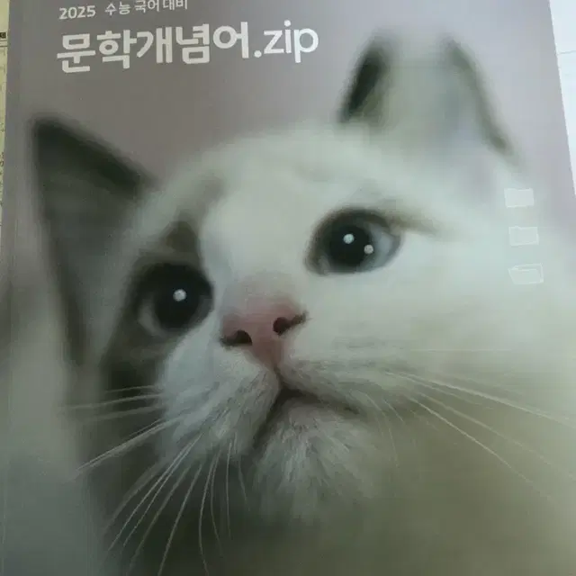 전형태T 2025 문학 개념어zip