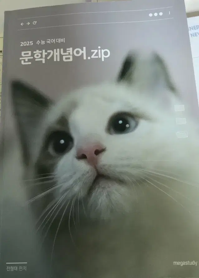 전형태T 2025 문학 개념어zip