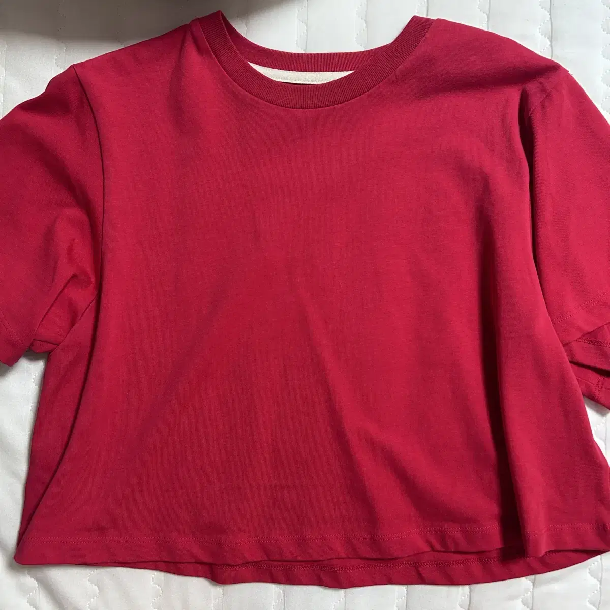 렉토 BABY CROP T-SHIRT (RED)