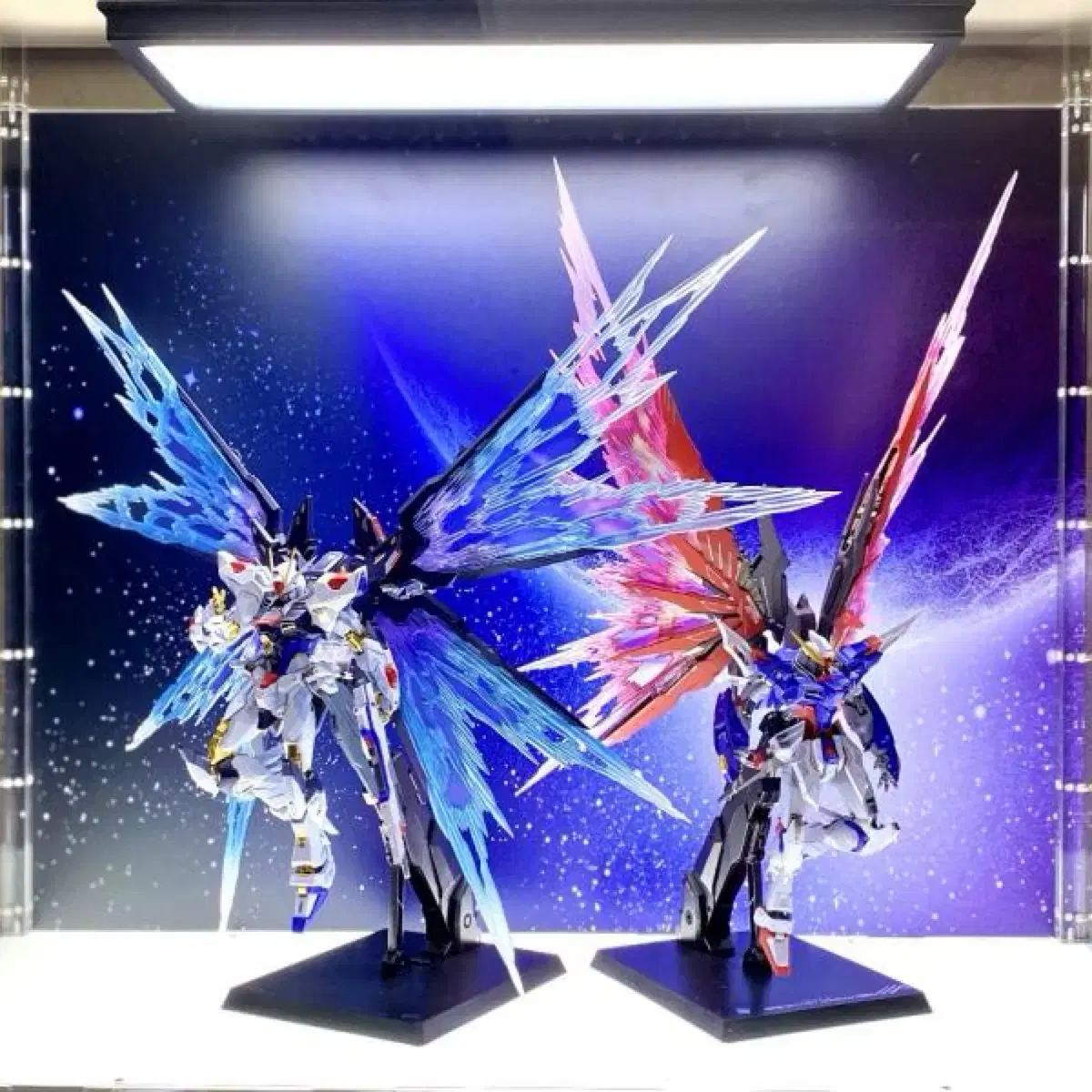 MetalBuild StrikeFreedom Gundam + Destiny Gundam Wings of Light Full Package in Bulk