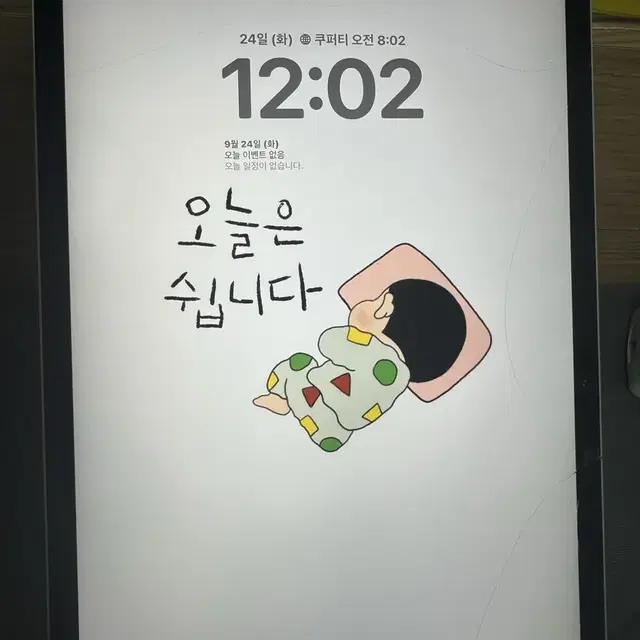 아이패드 프로 11 2세대 256GB