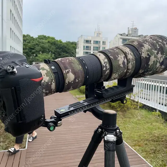 (니콘) 시그마APO 300-800mm F5.6 고정 AF렌즈 판매합니