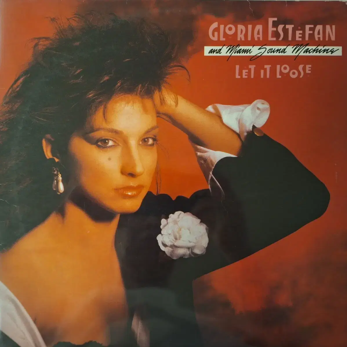 국내라이센스반/Gloria Estefan LP