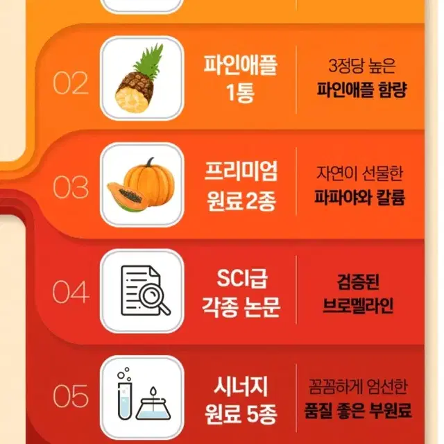 뉴본트리 브로멜라인 파인애플 효소