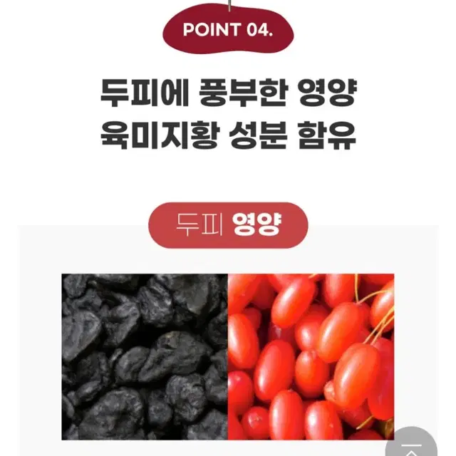 스킨레브 댄스 카페인 샴푸