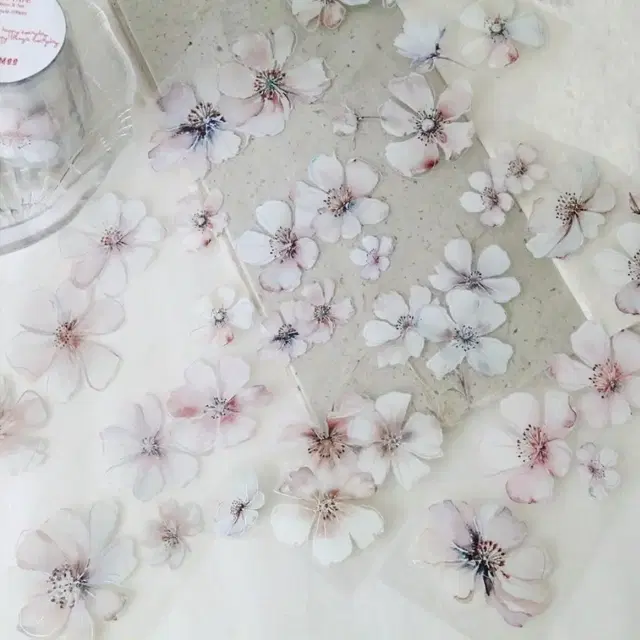 바이유미 soft pink flowers PET TAPE