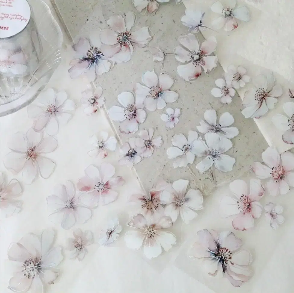 [바이유미] soft pink flowers PET TAPE