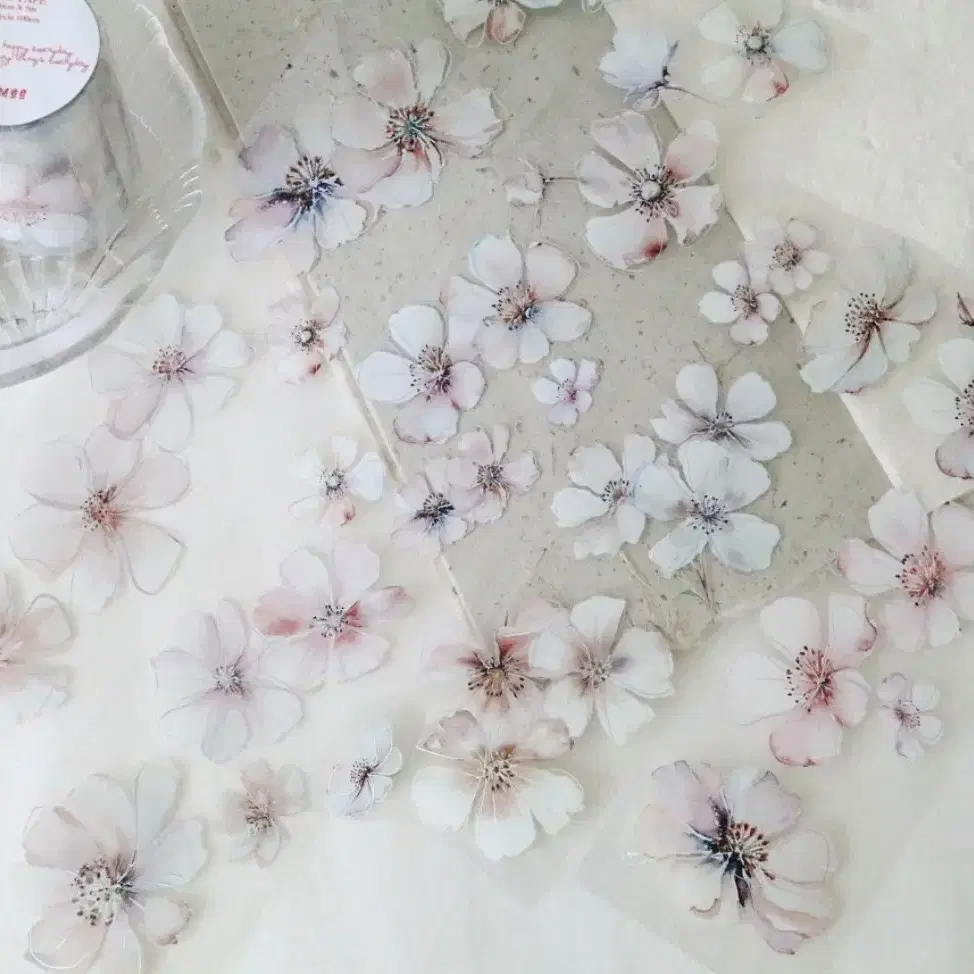 [바이유미] soft pink flowers PET TAPE