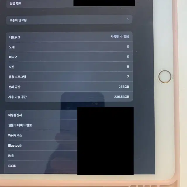 아이패드 프로 10.5 256gb 셀룰러