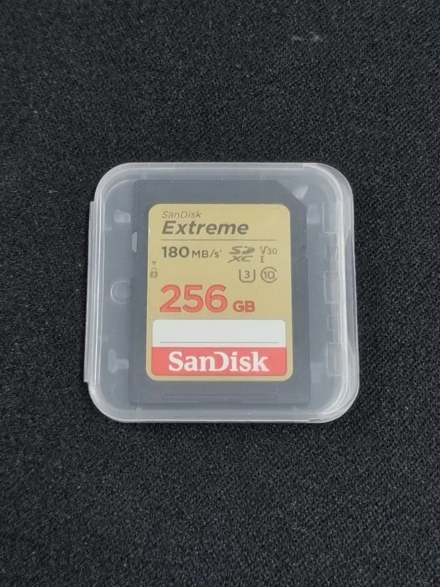 샌디스크 Extreme SDXC 256GB