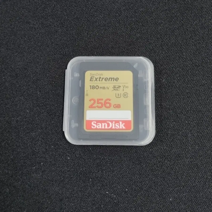 샌디스크 Extreme SDXC 256GB