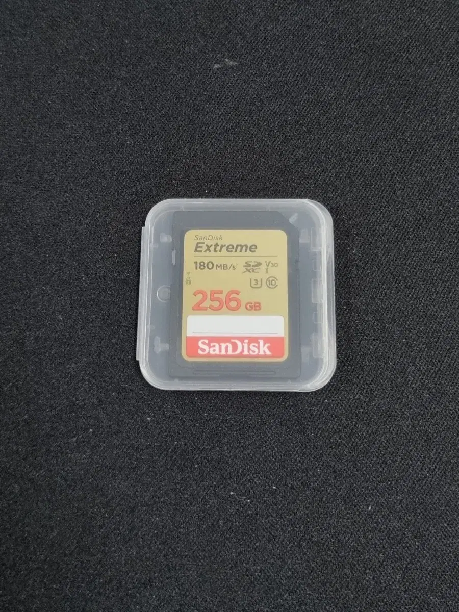 샌디스크 Extreme SDXC 256GB