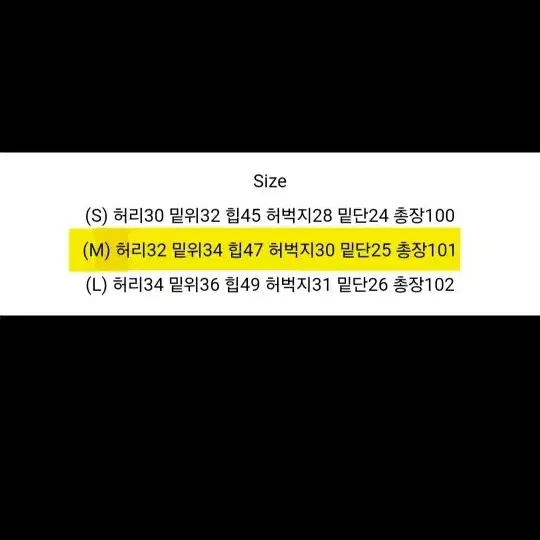 원버튼 핀턱 뒷밴딩 와이드 썸머 슬랙스 팬츠 먹색 차콜 / M