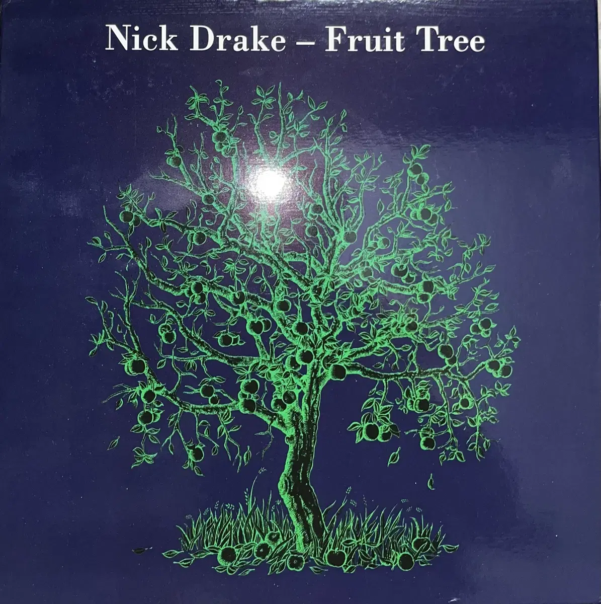 닉 드레이크 Nick Drake - Fruit Tree lp box