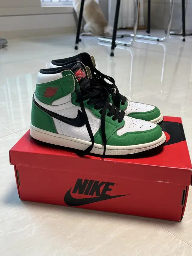 조던 럭키그린 235 (W) Jordan 1 Retro High OG L