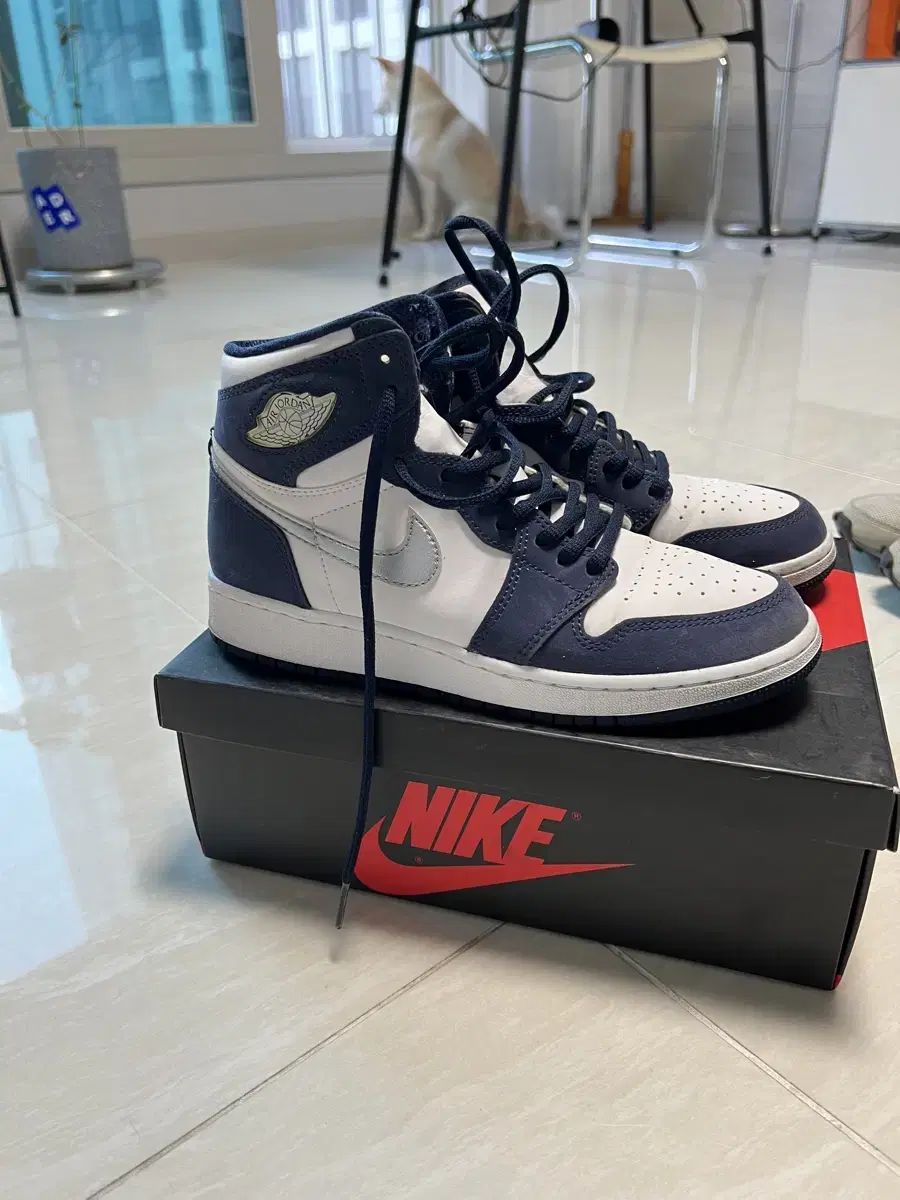 Nike Air Jordan 1 Retro High OG C 235 (GS)